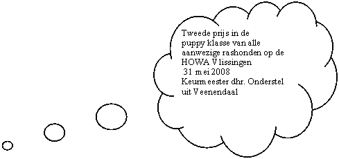 Gedachtewolkje: wolk: Tweede prijs in de        puppy klasse van alle aanwezige rashonden op de HOWA Vlissingen 31 mei 2008Keurmeester dhr. Onderstel uit Veenendaal