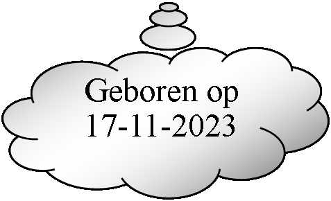 Gedachtewolkje: wolk:     Geboren op    17-11-2023