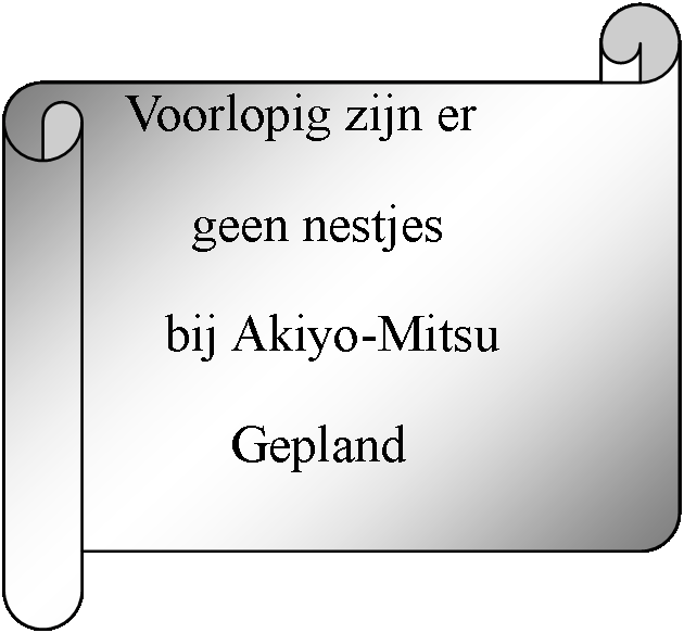 Rol: horizontaal:               In  2022               Zijn geen nestjes       bij Akiyo-Mitsu            Gepland