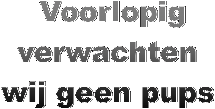 Ook in 2022 verwachten 
wij geen pups